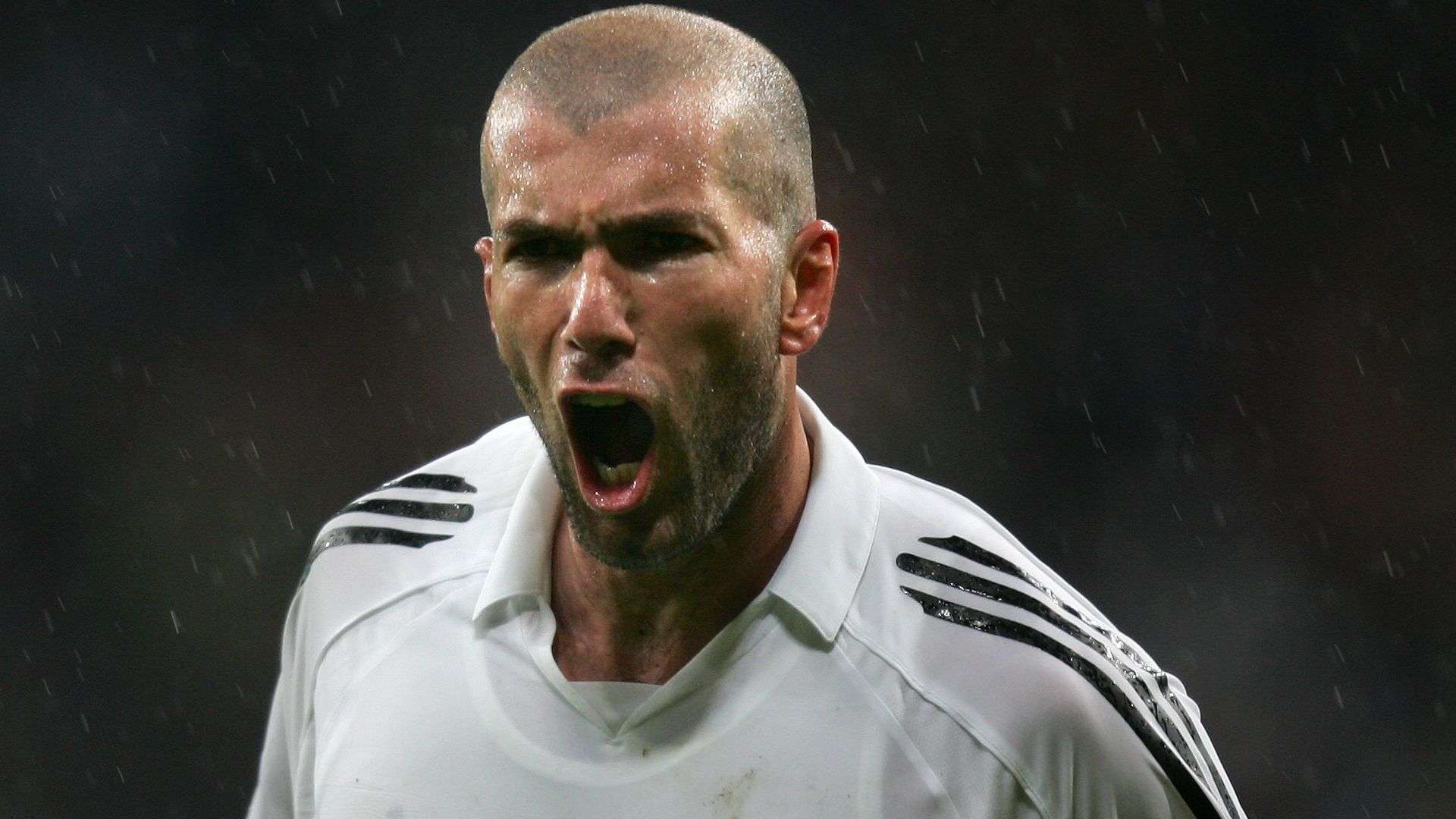 接近完美的 接近完美的