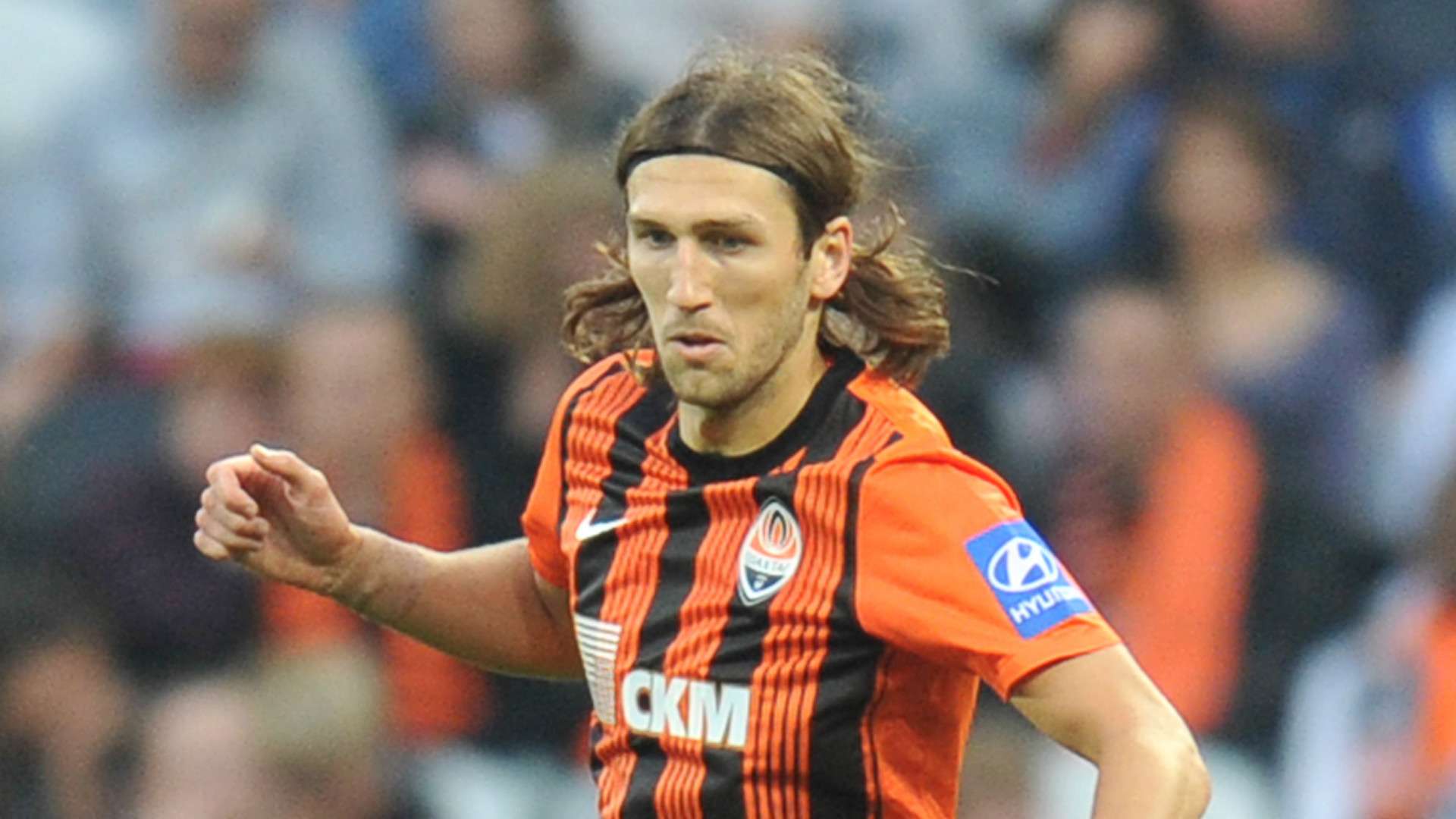 当家人需要 当家人需要