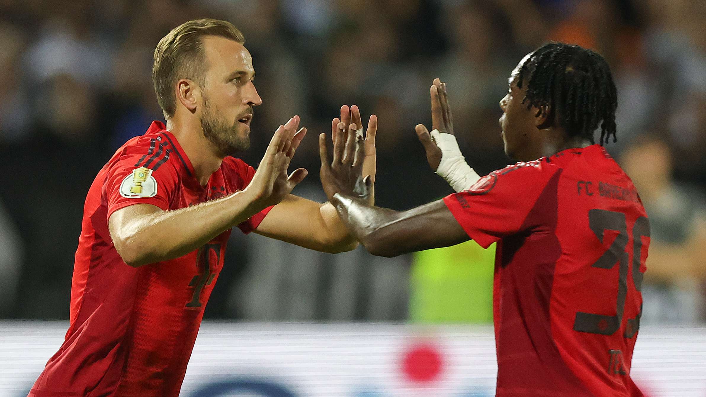 真的仅靠个 真的仅靠个