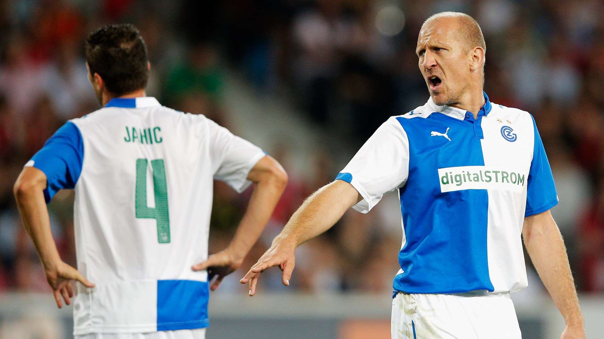 有分歧的看 有分歧的看